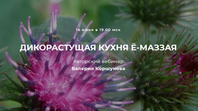 Обложка курса: Дикорастущая кухня Ё-маззая [Валерий Коршунов]. Площадка: Складчик