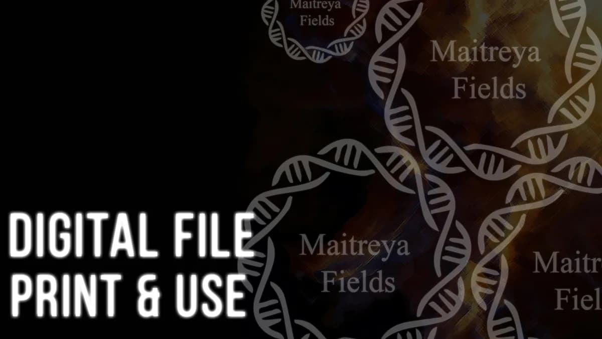 Обложка курса: DM: Наградитель [Maitreya Fields]. Площадка: Складчик