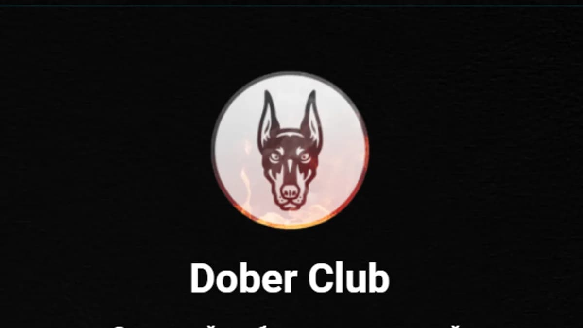 Обложка курса: Dober club [Дмитрий Москаленко]. Площадка: Складчик