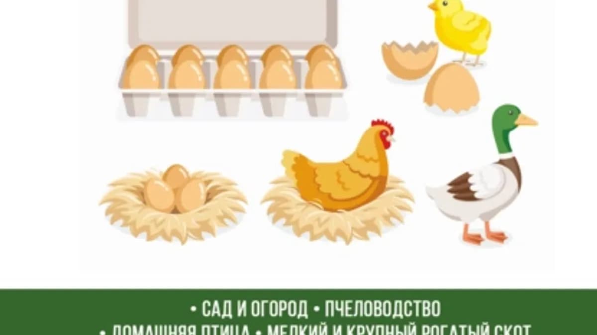 Обложка курса: Домик в деревне. Площадка: Складчик