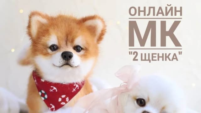Обложка курса: Два щенка. Живая игрушка из меха [Ирина Борзенкова]. Площадка: Складчик