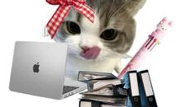 Обложка курса «ЕГЭ информатика» на Stepik