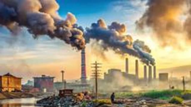 Обложка курса «Эко-гид» на Stepik