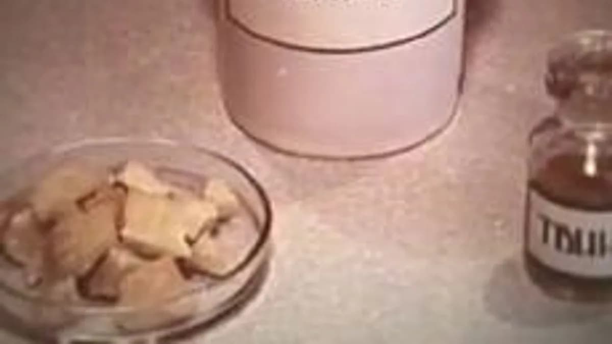 Обложка курса «Экзамен 3» на Stepik