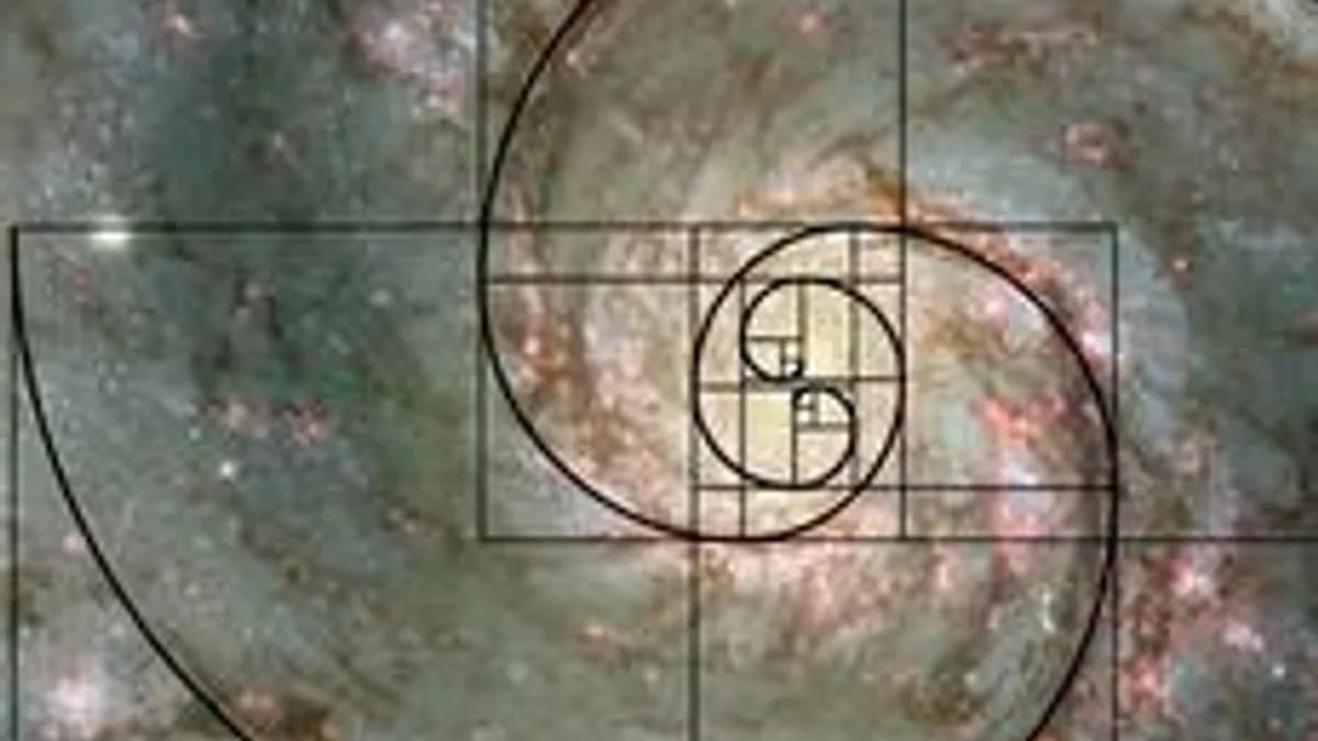 Обложка курса «Элементы теории специальных чисел» на Stepik
