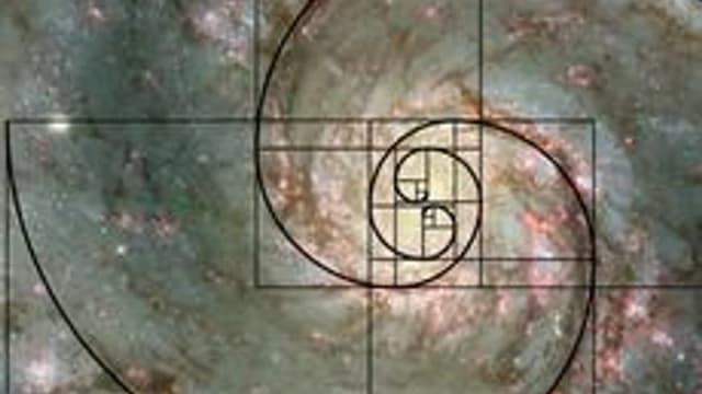 Обложка курса «Элементы теории специальных чисел» на Stepik