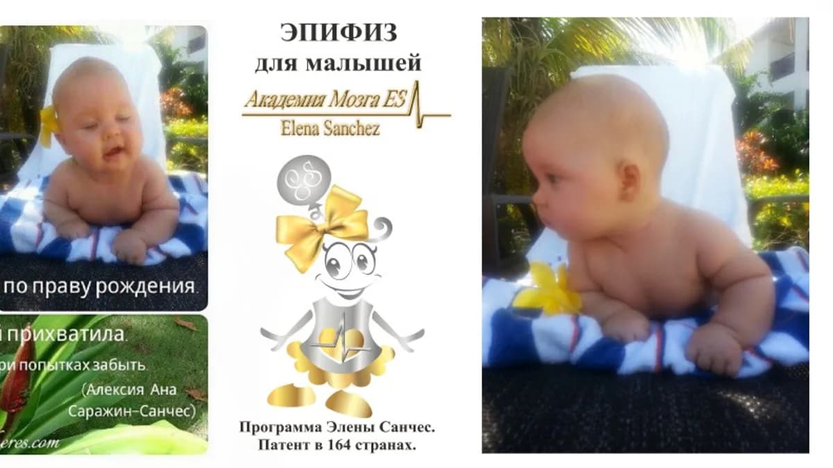 Обложка курса: Эмбриональная память человека. Площадка: Складчик