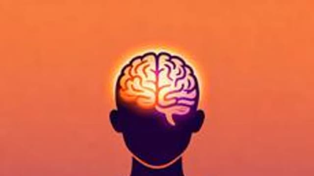 Обложка курса «Эмоциональный интеллект» на Stepik