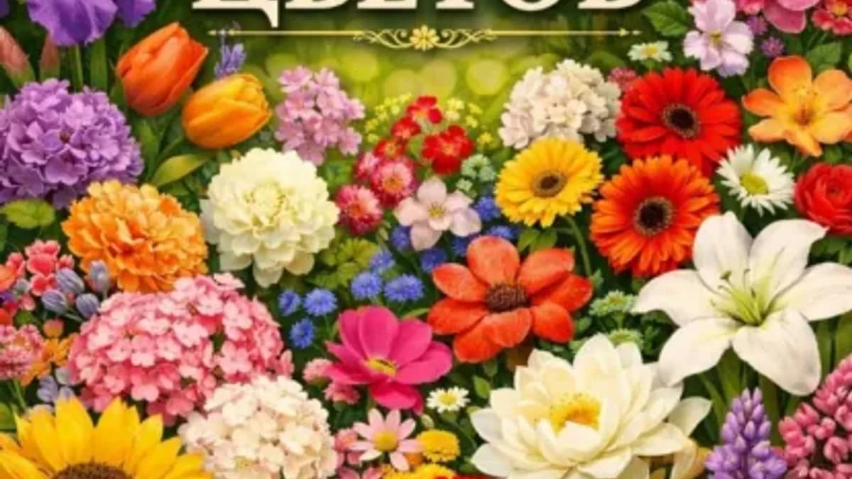Обложка курса: Энциклопедия цветов [Ильвир Зайнуллин]. Площадка: Складчик