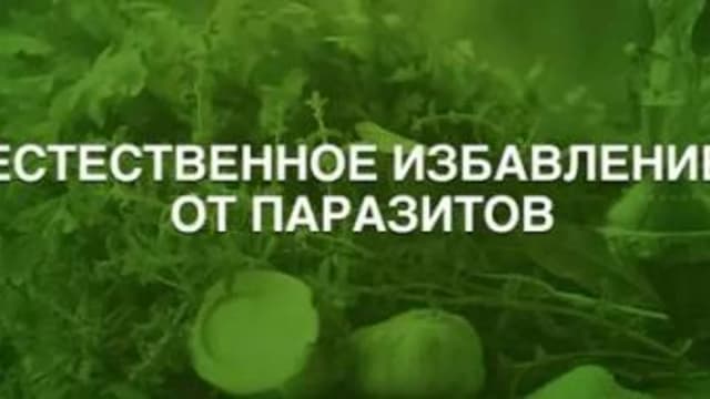 Обложка курса: Естественное избавление от паразитов (Анна Зименская). Площадка: Складчина.biz