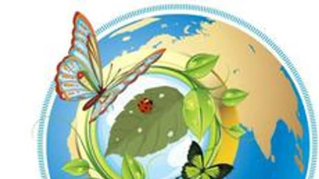 Обложка курса «Естествознание теория» на Stepik