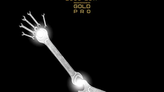 Обложка курса: ETpro.Gold Pro.Аудиотехнология - Железные кости. Площадка: Складчик