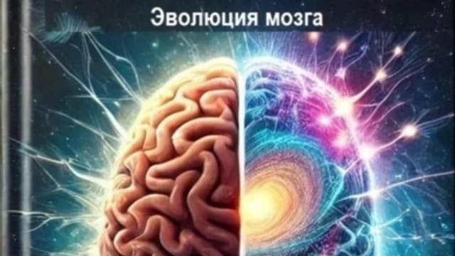 Обложка курса: Эволюция мозга [Давид Дарховский]. Площадка: Складчик