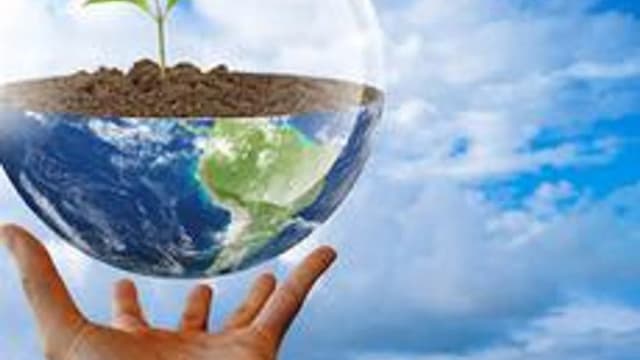 Обложка курса «Финансовая свобода» на Stepik