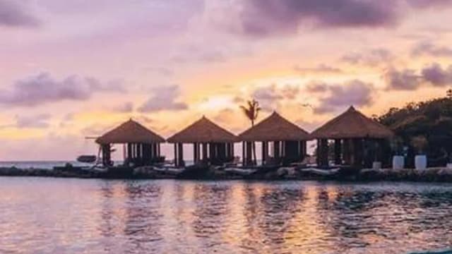 Обложка курса: Фламинго (Татьяна Букреева). Площадка: Складчина.biz