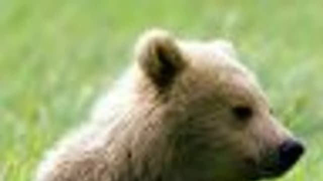 Обложка курса: [Фокусы] Семинар "Монета". Площадка: Складчик