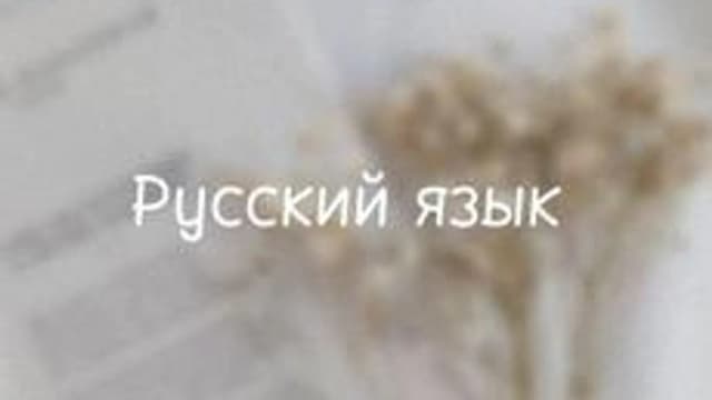 Обложка курса «Фонетика русского языка» на Stepik