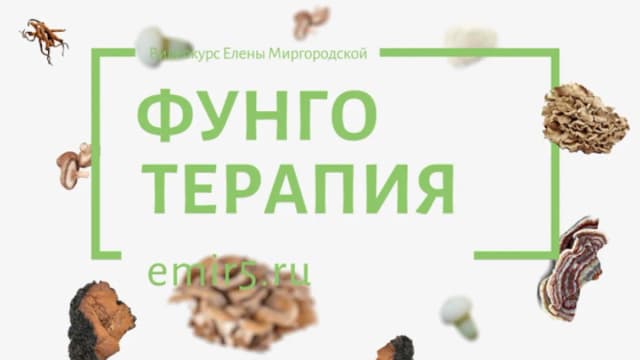 Обложка курса: Фунготерапия [Елена Миргородская]. Площадка: Складчик