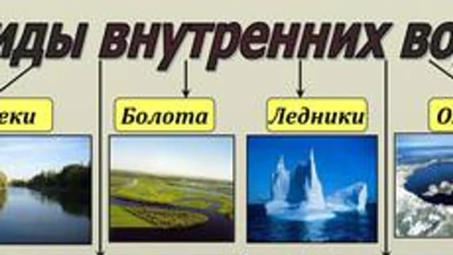 Обложка курса «география» на Stepik