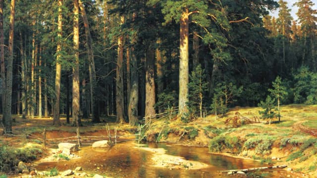 Обложка курса: Гиперреализм (Ольга Базанова). Площадка: Складчина.biz