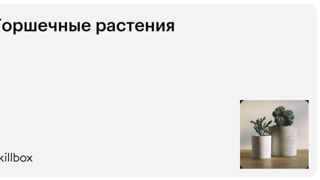 Обложка курса «Горшечные растения» на Skillbox
