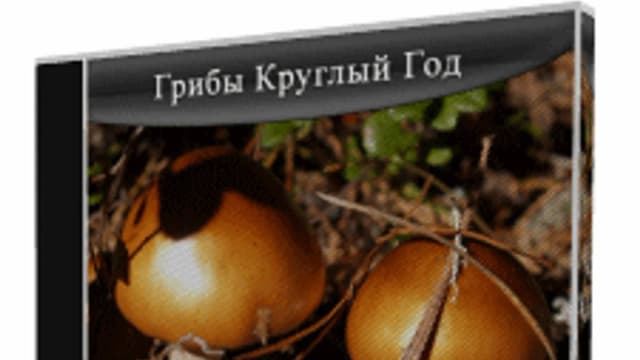 Обложка курса: Грибы Вешенка Круглый Год. Площадка: Складчик