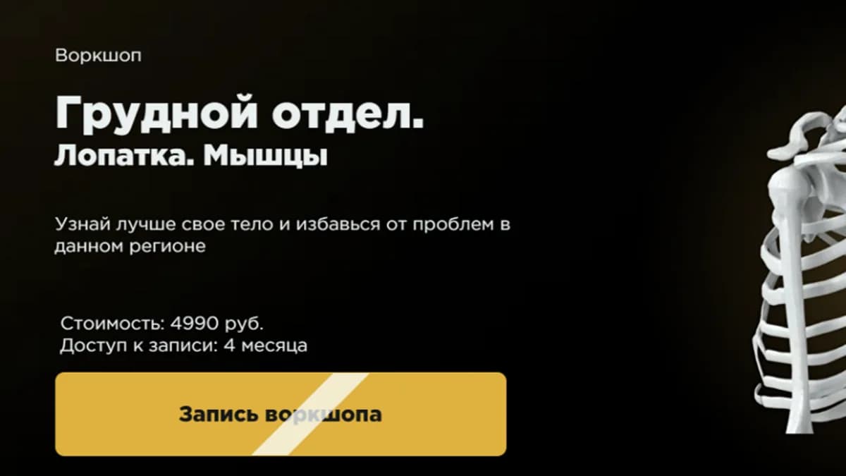 Обложка курса: Грудной отдел. Лопатка. Мышцы [Стас Свобода]. Площадка: Складчик