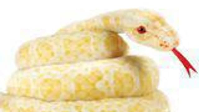Обложка курса «Группа 2» на Stepik