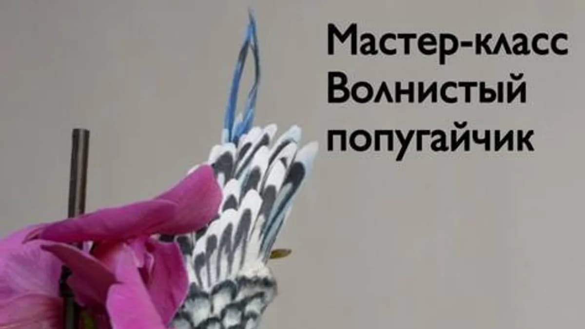 Обложка курса: [Home Fellows] Волнистый попугайчик (Юлия Зубарева). Площадка: Складчина.biz
