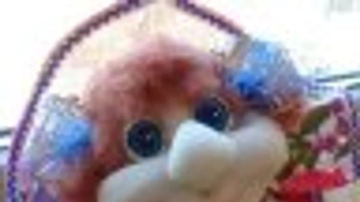 Обложка курса: [Игрушки] Кто любит сыр?. Площадка: Складчик
