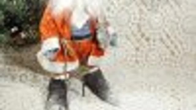 Обложка курса: [Игрушки] новогодний волшебник. Площадка: Складчик