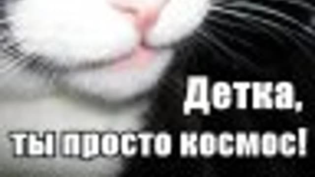 Обложка курса: игры с букмекером. Площадка: Складчик