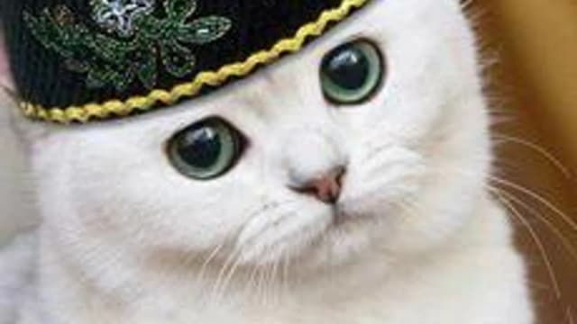 Обложка курса «ИНФОБЕЗики» на Stepik