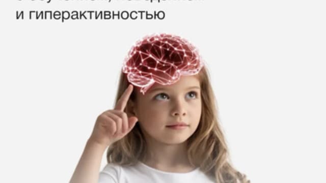 Обложка курса: Интеллект (Меседу Булат). Площадка: Складчина.biz