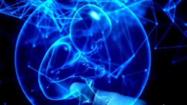 Обложка курса: Исцеляющее воспоминание [Sigh Energy]. Площадка: Складчик