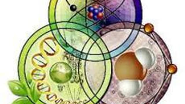 Обложка курса «Избранные главы биологии» на Stepik