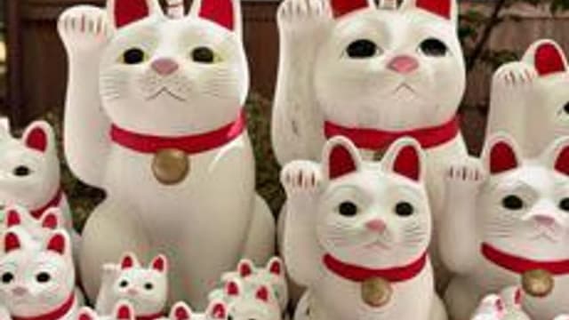 Обложка курса «Изучение культуры азиатских стран» на Stepik