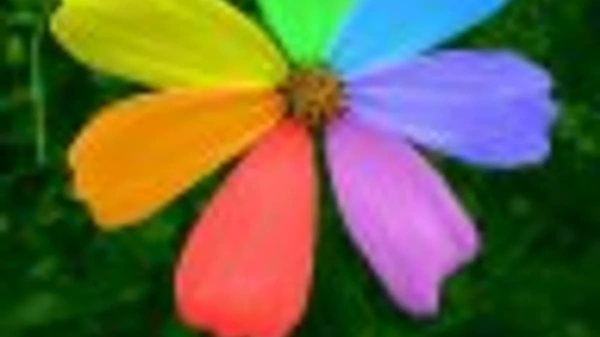 Обложка курса: Как ускорить организаторов?. Площадка: Складчина.biz