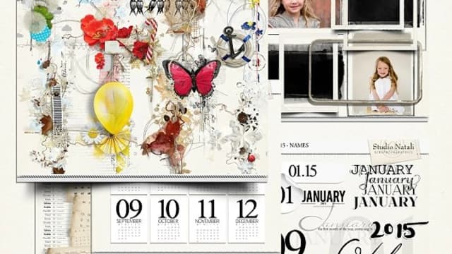 Обложка курса: Календарь 2015. Площадка: Складчик