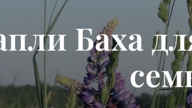 Обложка курса: Капли Баха для себя и своей семьи (Альбина Аоки). Площадка: Складчина.biz