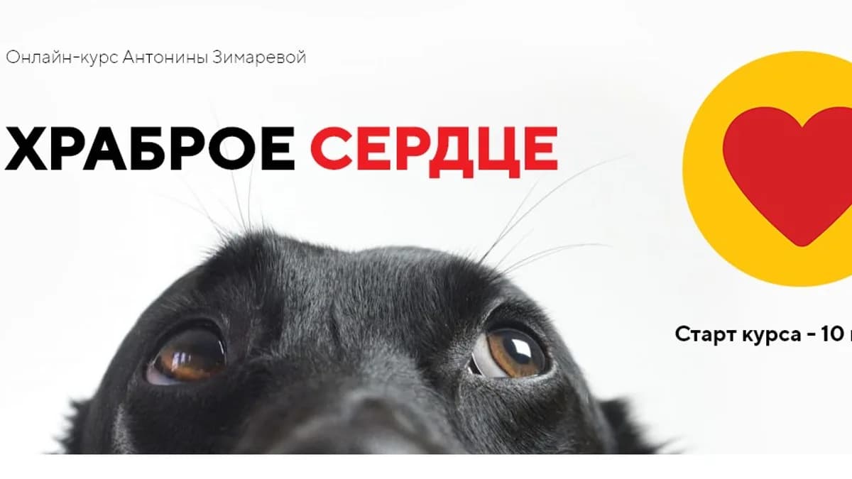 Обложка курса: Храброе сердце [kinologschool] [Антонина Зимарева]. Площадка: Складчик