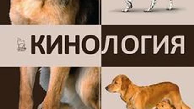 Обложка курса «Кинология для начинающих 1ч.» на Stepik