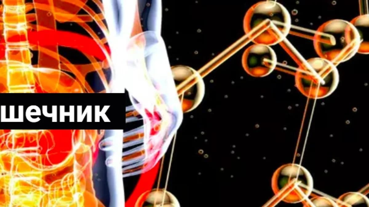 Обложка курса: Кишечник [Никита Истомин]. Площадка: Складчик