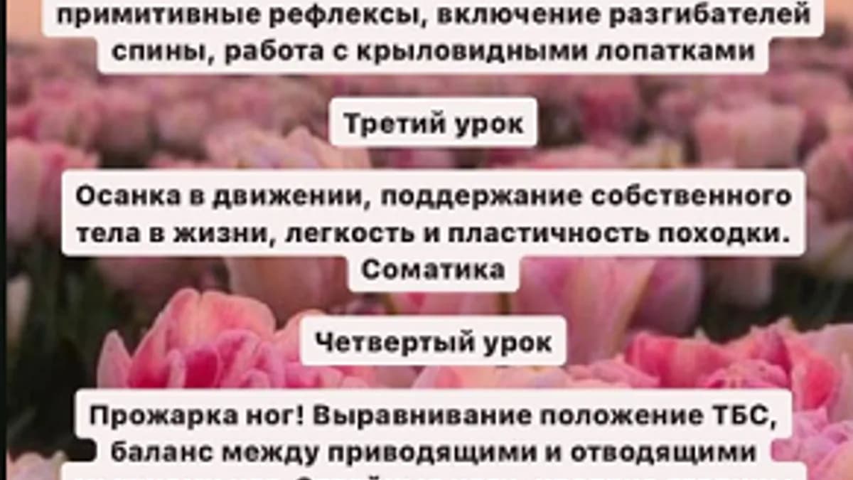 Обложка курса: Клуб. Апрель 2024 [Ксения Часнык]. Площадка: Складчик