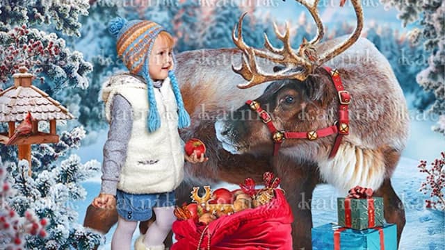 Обложка курса: Коллаж с оленем зимний. Площадка: Складчик