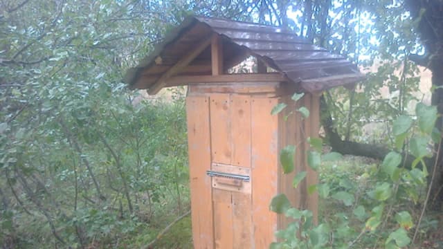 Обложка курса: Колодное пчеловодство [Олег Перетятько]. Площадка: Складчик