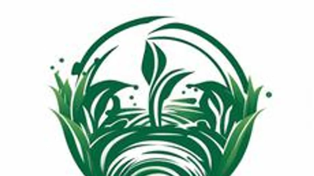 Обложка курса «Комплексные мелиорации» на Stepik
