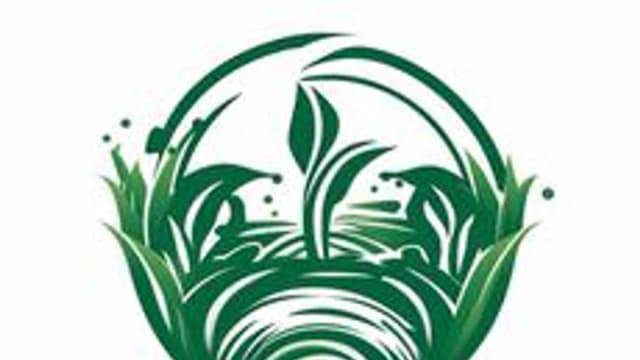 Обложка курса «Комплексные мелиорации» на Stepik