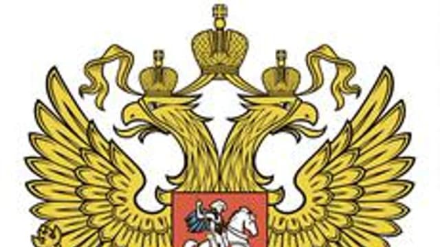 Обложка курса «Конституционное и муниципальное право» на Stepik