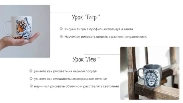 Обложка курса: Кошки [Дарья Савченко]. Площадка: Складчик